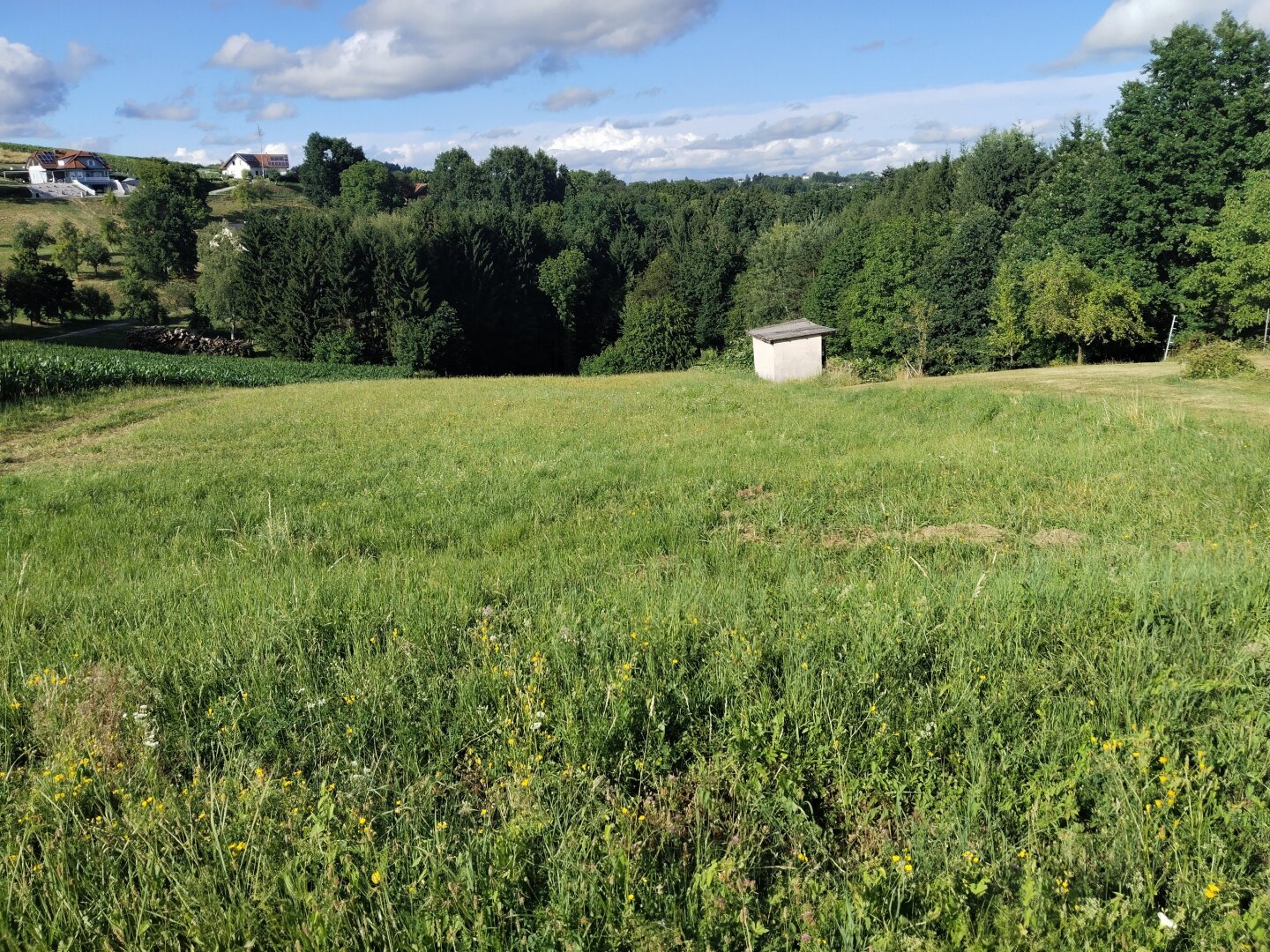 Sonniges Grundstück mit Wiese und Wald in Ruhelage in der Thermenregion!