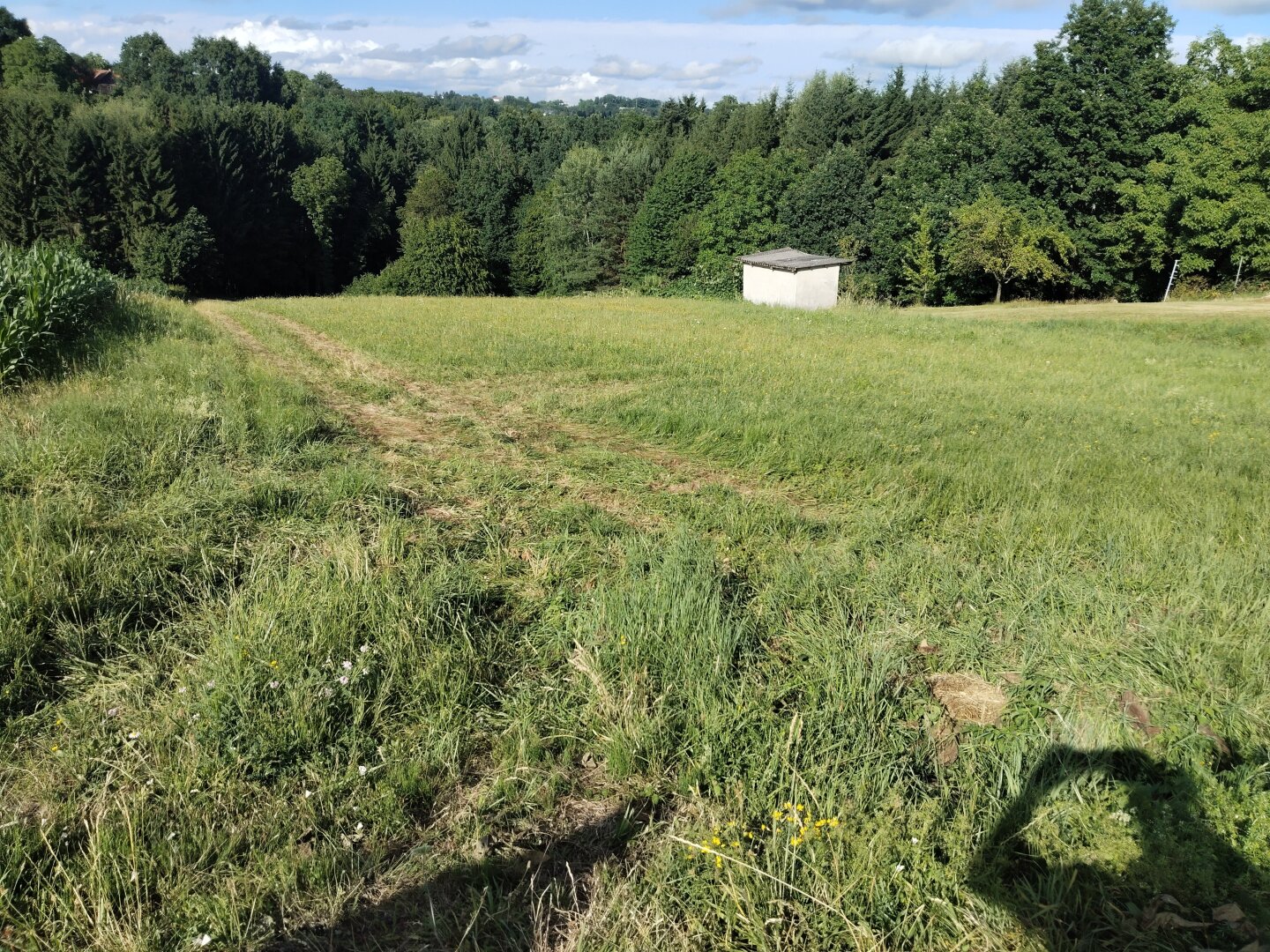 Sonniges Grundstück mit Wiese und Wald in Ruhelage in der Thermenregion!