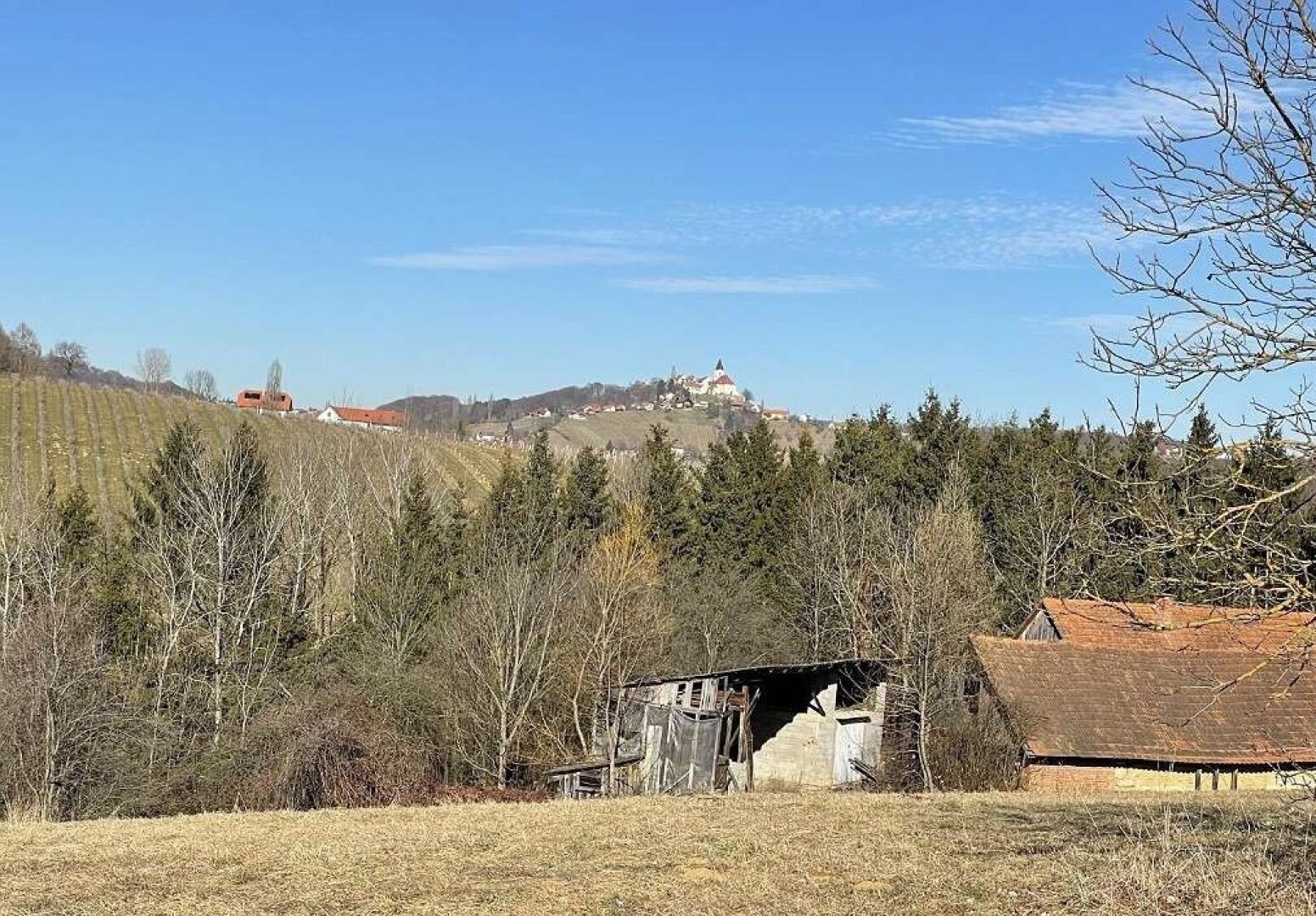 Sonniges Baugrundstück in sanfter Hanglage in wunderschöner Weinregion!