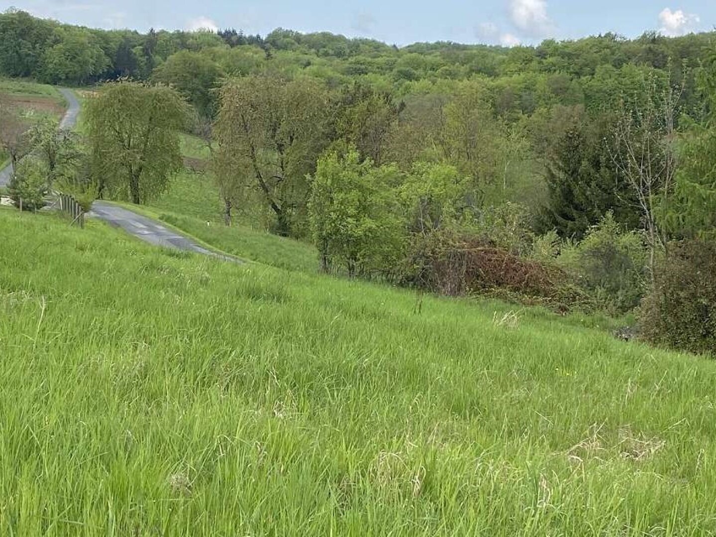 Sonniges Baugrundstück in sanfter Hanglage in wunderschöner Weinregion!