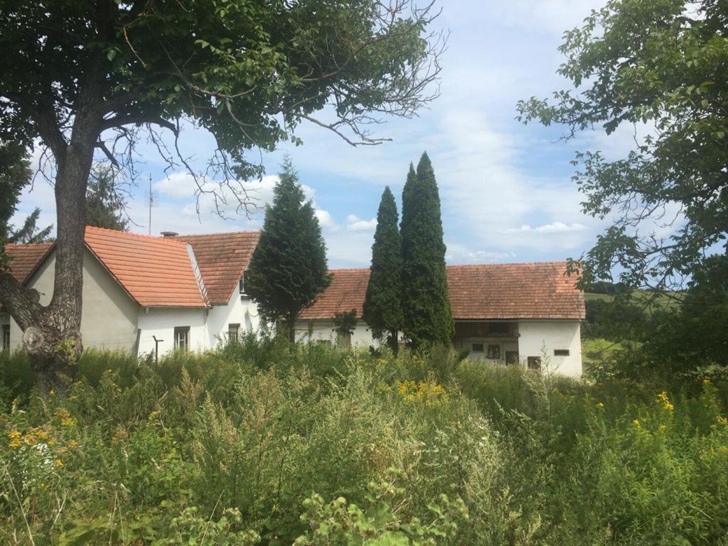 TOP GELEGENHEIT HAUS IN BESTLAGE IN SONNIGER ERHÖHTEN RUHELAGE IN DER THERMEN REGION!