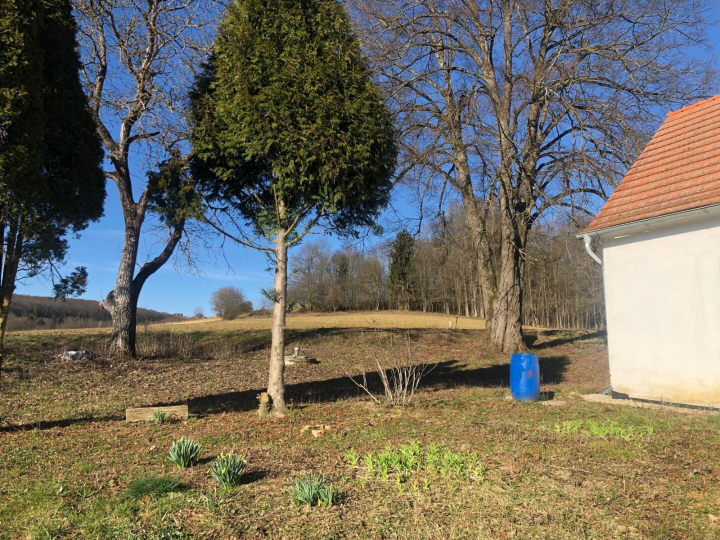 TOP GELEGENHEIT HAUS IN BESTLAGE IN SONNIGER ERHÖHTEN RUHELAGE IN DER THERMEN REGION!