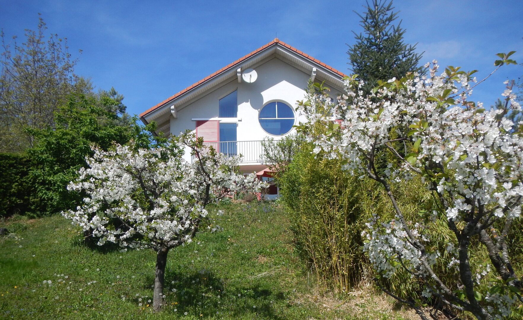 TOP GELEGENHEIT TRAUMHAUS IN RUHE UND AUSSICHTLAGE IM SÜDBURGENLAND!